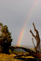 Madison Valley Rainbow