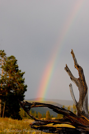 Madison Valley Rainbow
