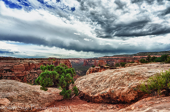 Colorado National Monument-2