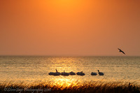 South Padre Sunset