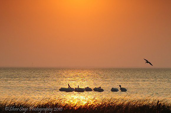South Padre Sunset