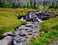 Waterfall GNP