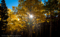 Fall, Rocky Mtn. National Park