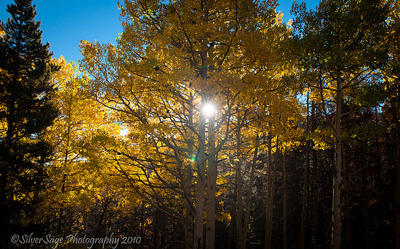 Fall, Rocky Mtn. National Park
