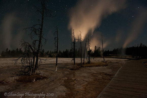 Lower Geyser Basin