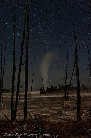 Lover Geyser Basin
