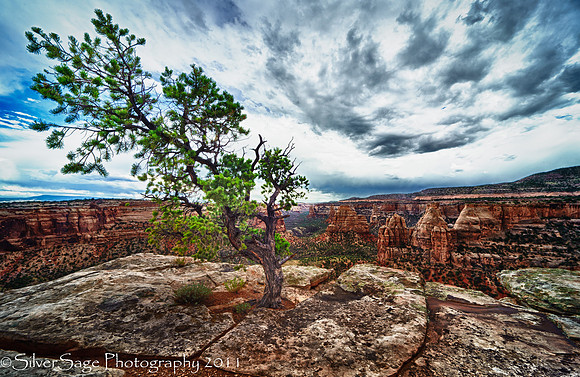 Colorado National Monument