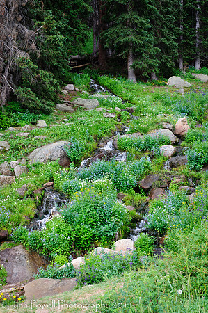 Hidden Valley Waterfall