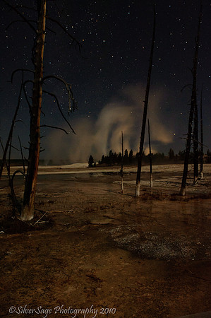 Lower Geyser Basin