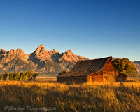 Mormon Row