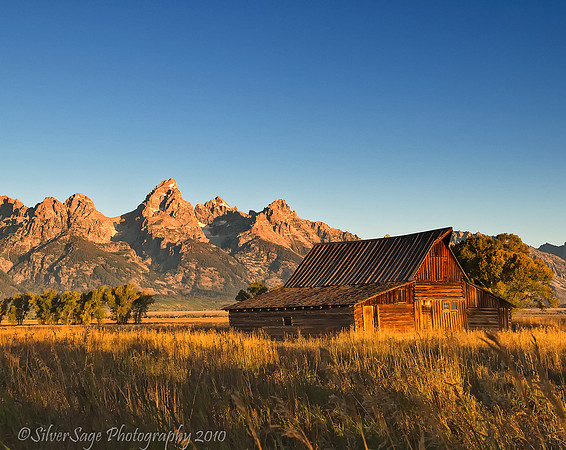 Mormon Row